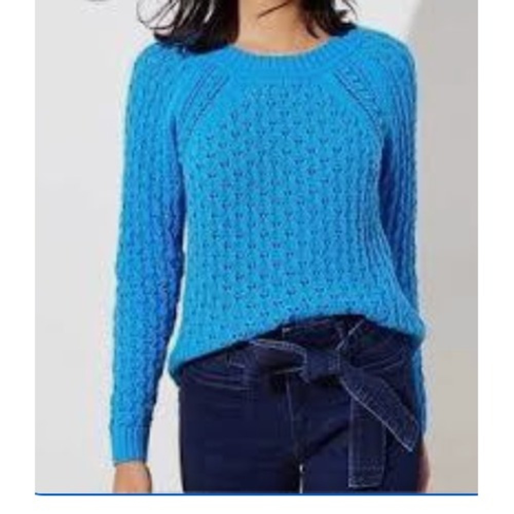LOFT Pointelle Raglan Chunky Knit Long Sleeve Sweater Medium Blue